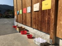 Cleanupday_2017-11