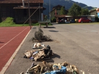 Cleanupday_2017-20
