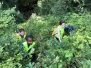 Clean up day 2020