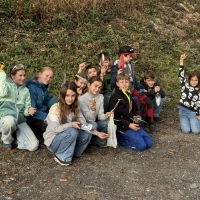Traubeneichen-10