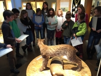 Museum Reh (13)