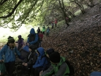 Naturpur (4)