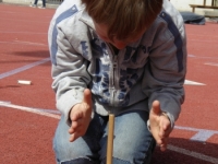33 PW-2015