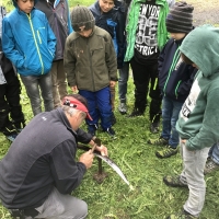 PW-2018-030