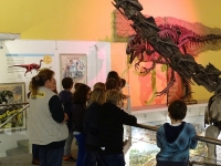 02 Sauriermuseum 2015