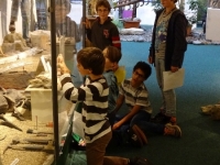 13 Sauriermuseum 2015